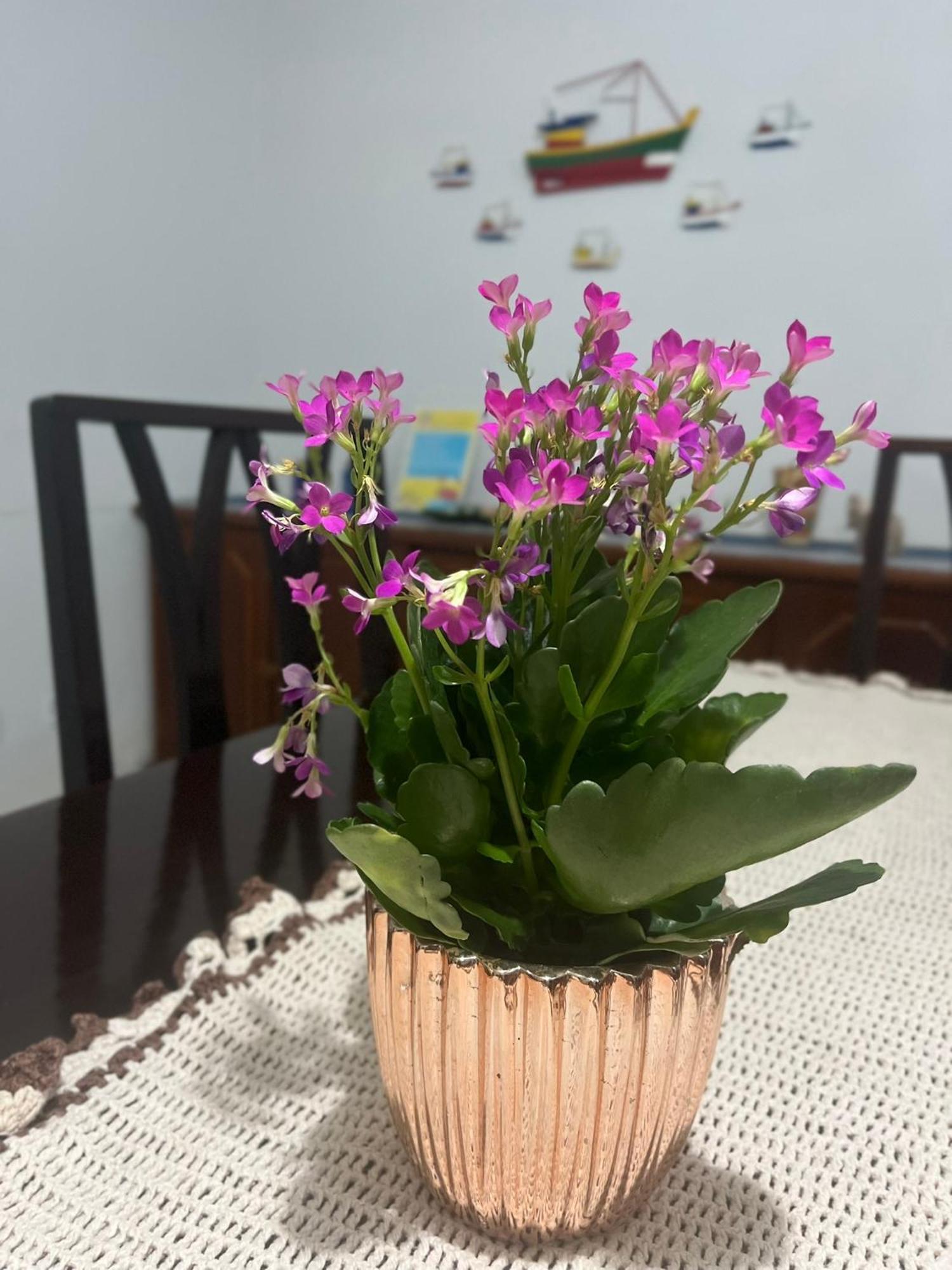 Casa De Praia Caraguatatuba Massaguacu Zewnętrze zdjęcie